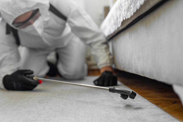 Professional Cockroach Control technician working in Dundee, NY